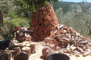 pile wood